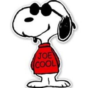 Meet your Posher, Joey